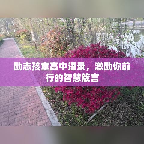 励志孩童高中语录，激励你前行的智慧箴言