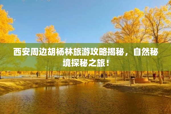 下里巴人 第2页
