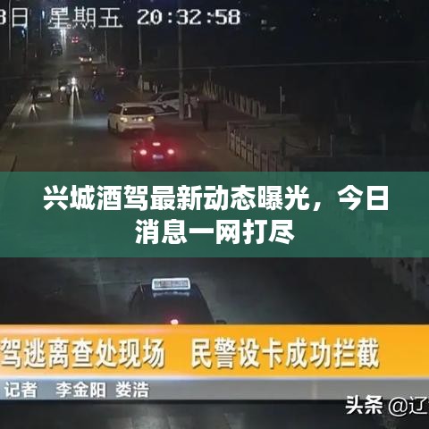 兴城酒驾最新动态曝光，今日消息一网打尽