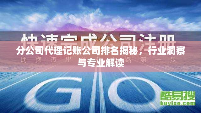 分公司代理记账公司排名揭秘，行业洞察与专业解读