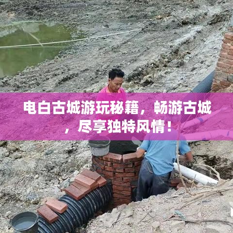 犯而不校 第2页