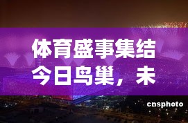 体育盛事集结今日鸟巢，未来展望令人瞩目！