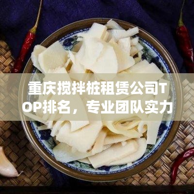重庆搅拌桩租赁公司TOP排名，专业团队实力比拼！