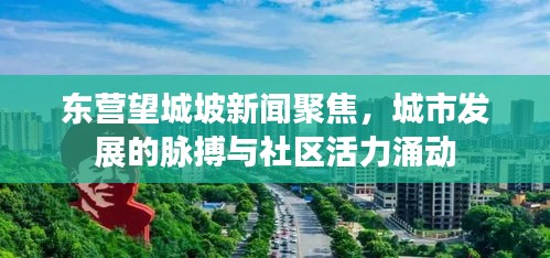 东营望城坡新闻聚焦，城市发展的脉搏与社区活力涌动