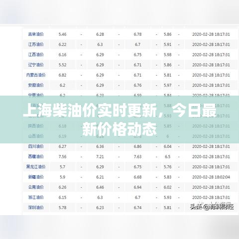 上海柴油价实时更新，今日最新价格动态