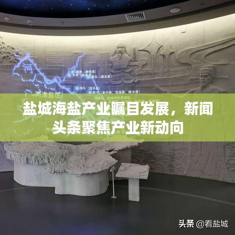 盐城海盐产业瞩目发展，新闻头条聚焦产业新动向