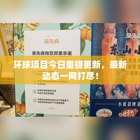 环球项目今日重磅更新，最新动态一网打尽！