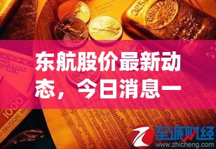 东航股价最新动态，今日消息一览，引领市场风向！