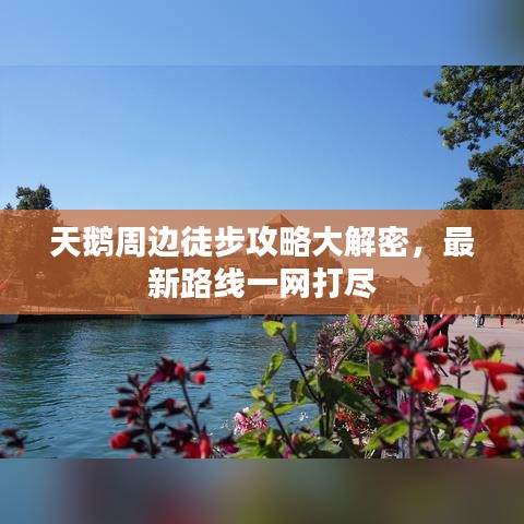 天鹅周边徒步攻略大解密，最新路线一网打尽