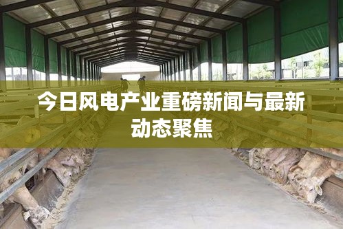今日风电产业重磅新闻与最新动态聚焦