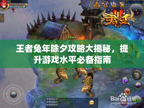 王者兔年除夕攻略大揭秘，提升游戏水平必备指南