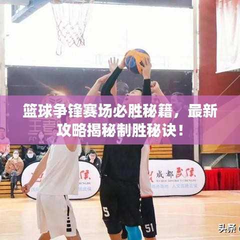 篮球争锋赛场必胜秘籍，最新攻略揭秘制胜秘诀！