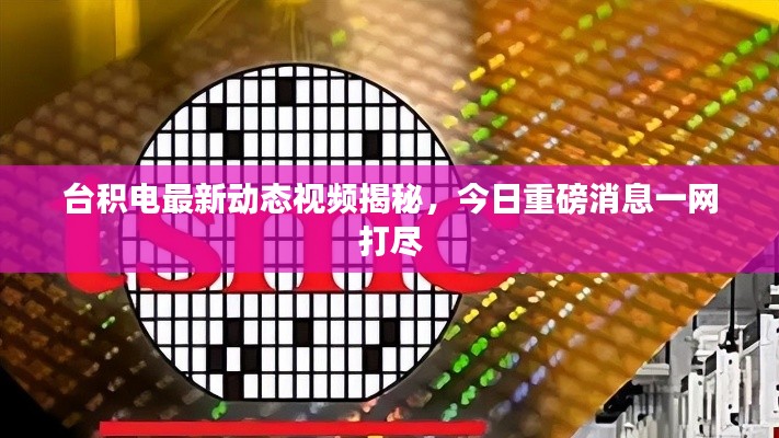 台积电最新动态视频揭秘，今日重磅消息一网打尽