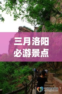 三月洛阳必游景点攻略大全
