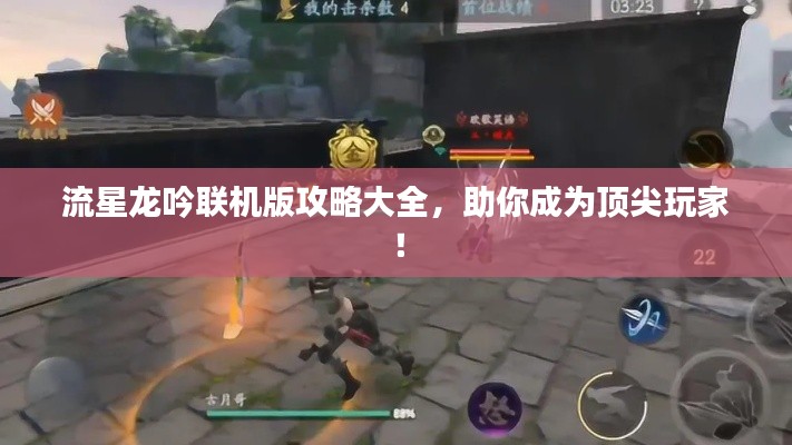 流星龙吟联机版攻略大全，助你成为顶尖玩家！