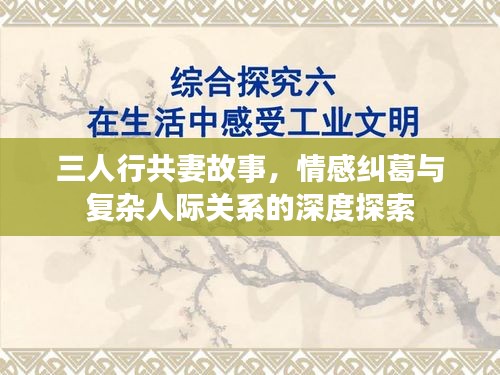 三人行共妻故事，情感纠葛与复杂人际关系的深度探索