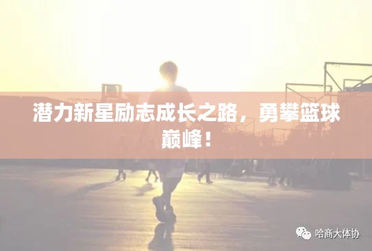 潜力新星励志成长之路，勇攀篮球巅峰！