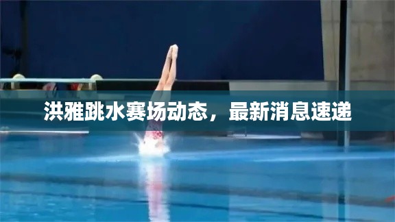 洪雅跳水赛场动态，最新消息速递