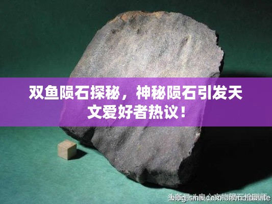 双鱼陨石探秘，神秘陨石引发天文爱好者热议！