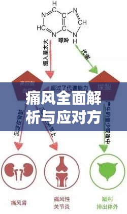 鸟为食亡 第2页