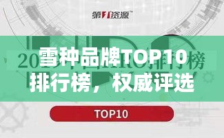 雪种品牌TOP10排行榜，权威评选揭晓！