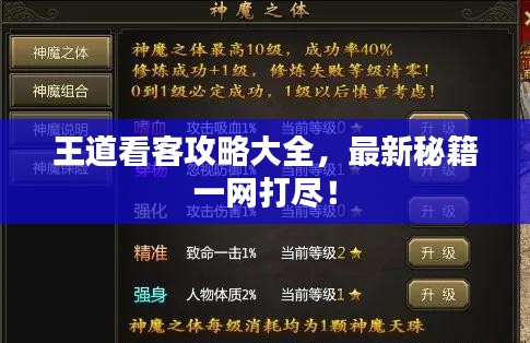 王道看客攻略大全，最新秘籍一网打尽！
