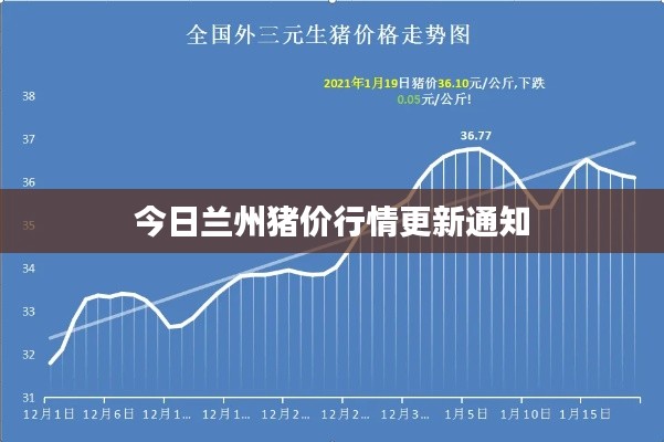 今日兰州猪价行情更新通知