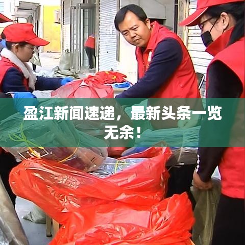盈江新闻速递，最新头条一览无余！