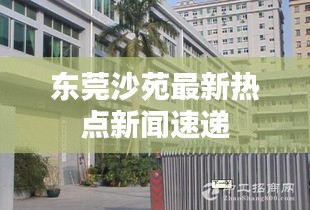 粗枝大叶 第3页