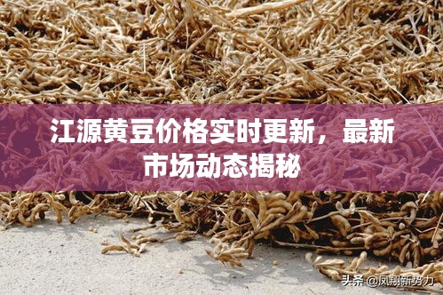 飞扬跋扈 第2页