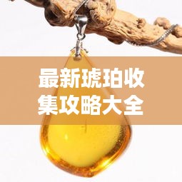 最新琥珀收集攻略大全，全方位指南助你轻松入手琥珀珍宝！
