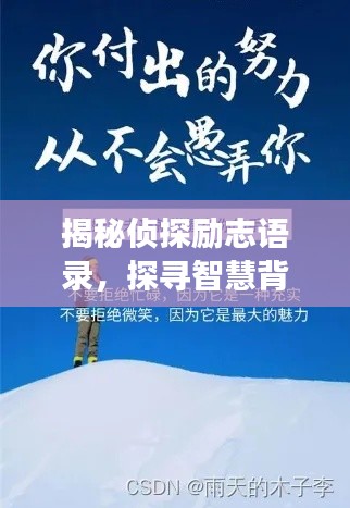 揭秘侦探励志语录，探寻智慧背后的勇气与坚持