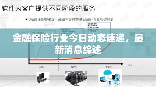 金融保险行业今日动态速递，最新消息综述