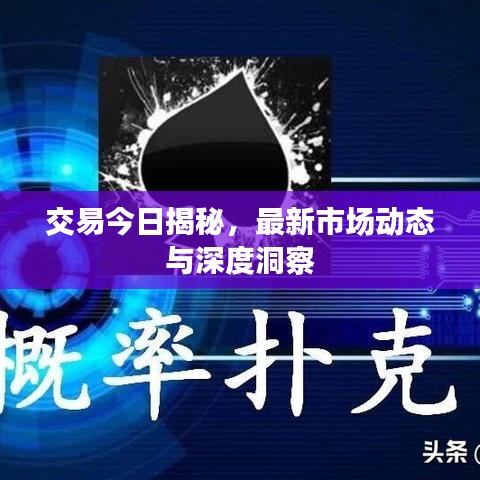 交易今日揭秘，最新市场动态与深度洞察