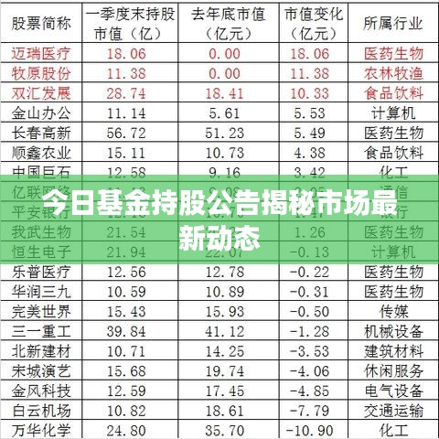 今日基金持股公告揭秘市场最新动态