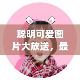 聪明可爱图片大放送，最新高清美图欣赏