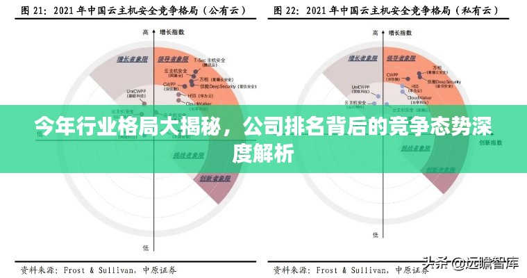 今年行业格局大揭秘，公司排名背后的竞争态势深度解析