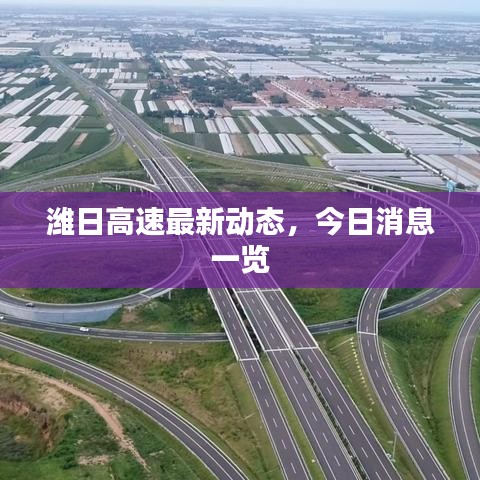 潍日高速最新动态，今日消息一览