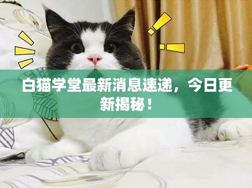 白猫学堂最新消息速递，今日更新揭秘！