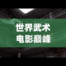 世界武术电影巅峰排行榜，震撼视觉不容错过！