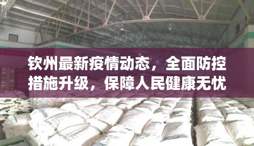 鸟之将死 第2页