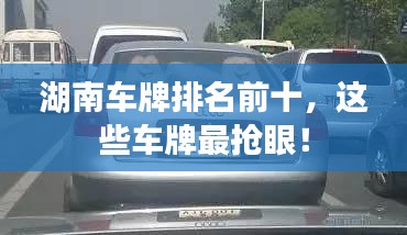 湖南车牌排名前十，这些车牌最抢眼！