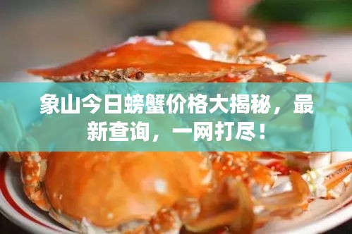 象山今日螃蟹价格大揭秘，最新查询，一网打尽！