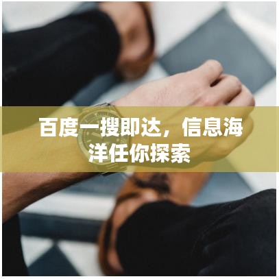 百度一搜即达，信息海洋任你探索