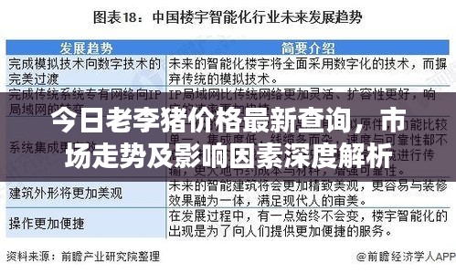 今日老李猪价格最新查询，市场走势及影响因素深度解析