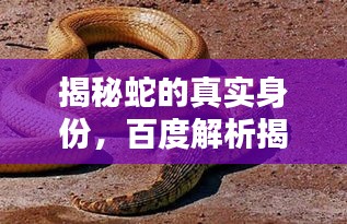 重张旗鼓 第2页