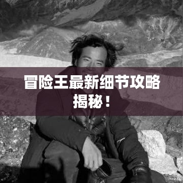 冒险王最新细节攻略揭秘！