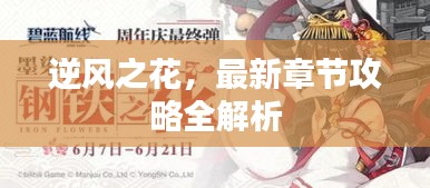 撺哄鸟乱 第2页