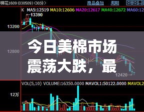 今日美棉市场震荡大跌，最新动态与市场走势分析