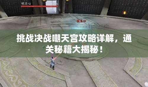 挑战决战嘲天宫攻略详解，通关秘籍大揭秘！